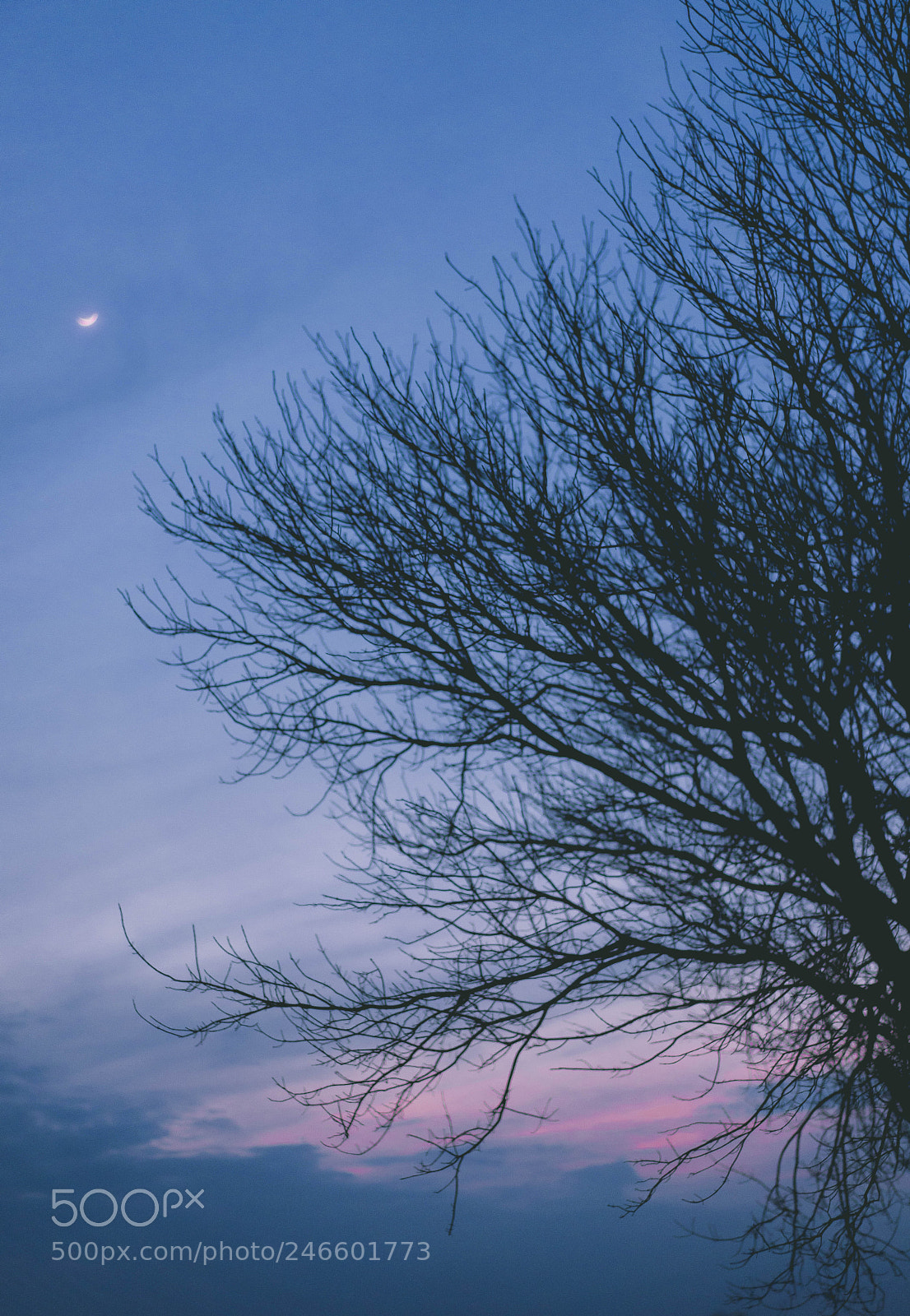 Sony a7 sample photo. Texas winter photography
