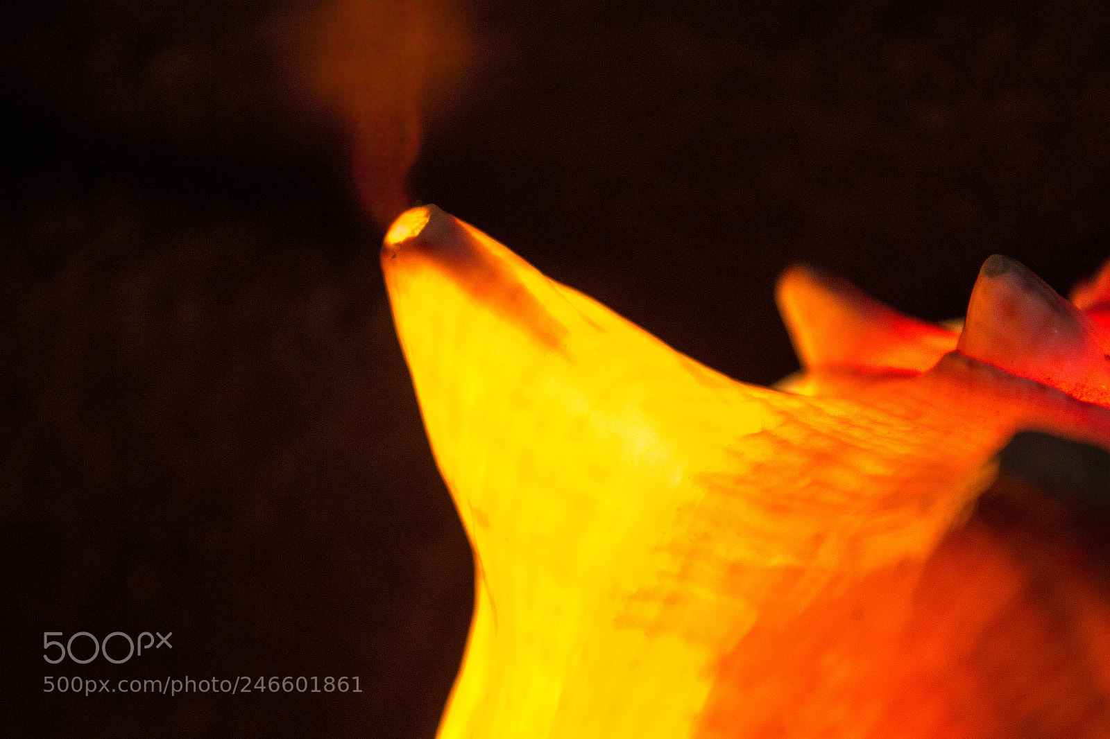 Canon EOS 600D (Rebel EOS T3i / EOS Kiss X5) sample photo. Trou photography