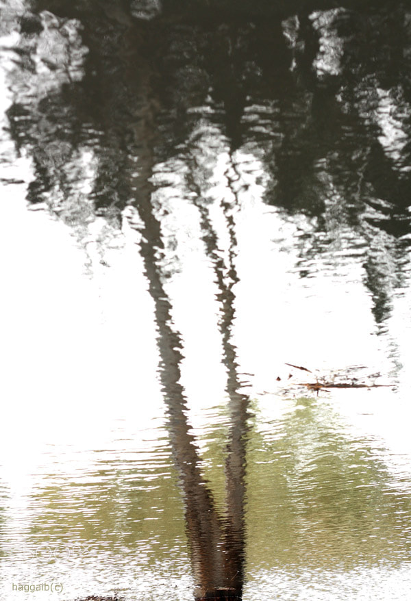 Canon EOS 450D (EOS Rebel XSi / EOS Kiss X2) sample photo. Water paint photography