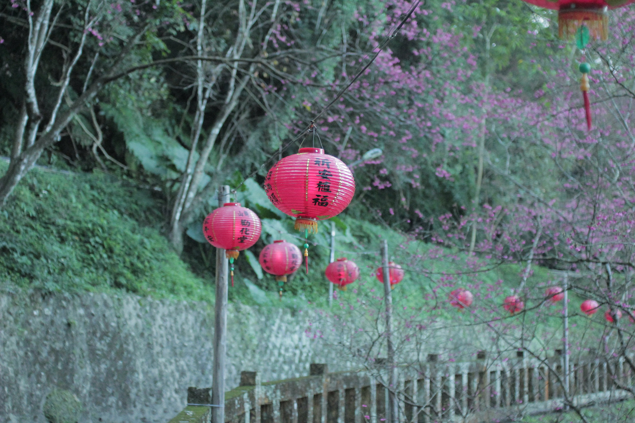 Canon EF 35-80mm f/4-5.6 sample photo. Img photography