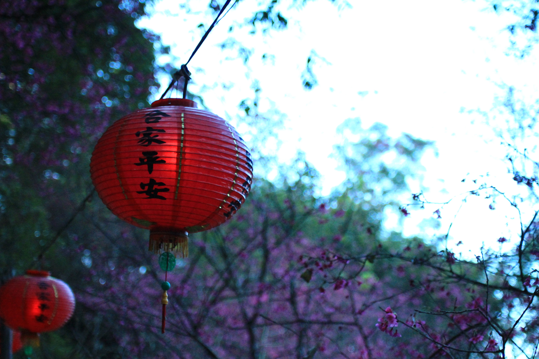 Canon EF 35-80mm f/4-5.6 sample photo. Img photography
