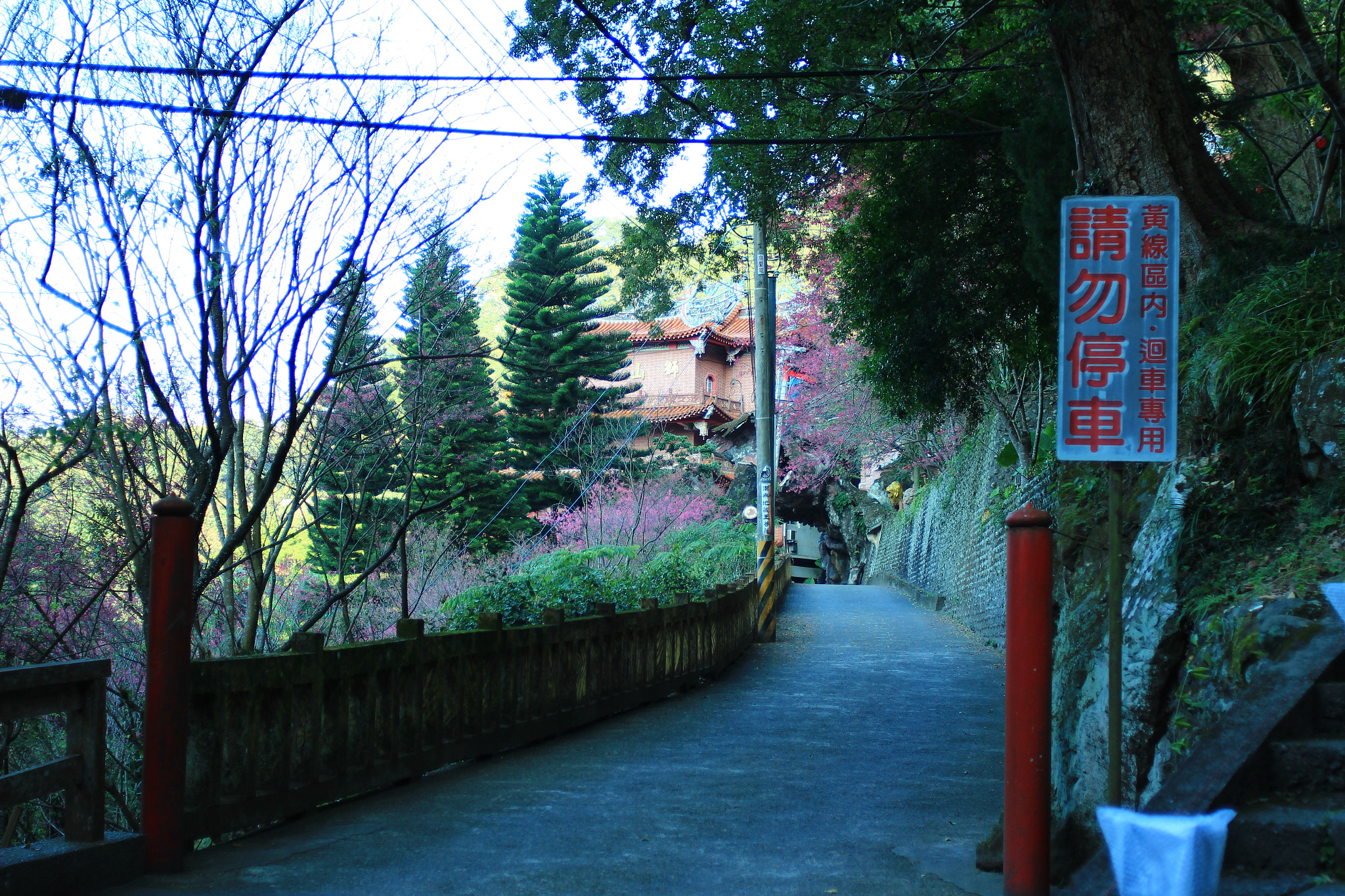 Canon EF 35-80mm f/4-5.6 sample photo. Img photography
