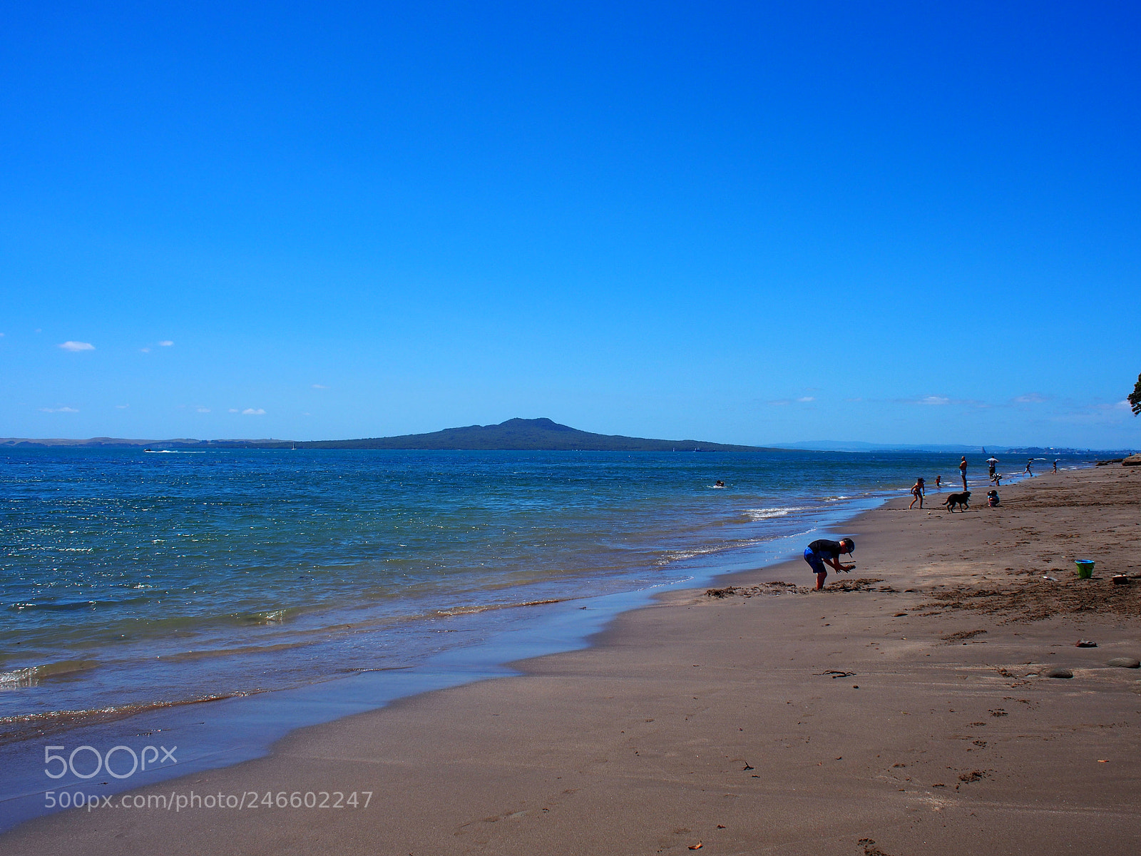 Olympus PEN E-PL6 sample photo. Beach in auckland photography