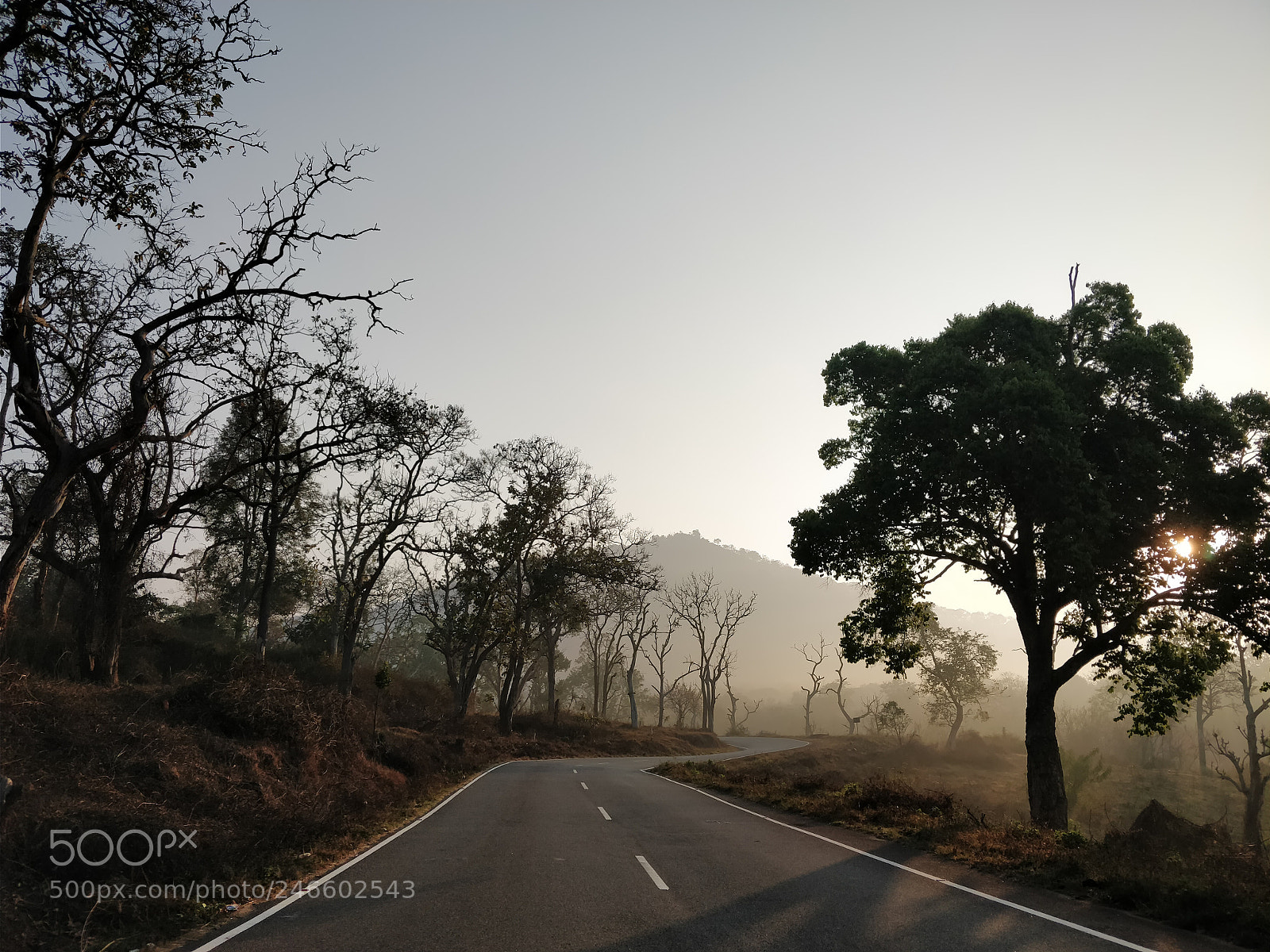 OnePlus 5T sample photo. Morning drive photography