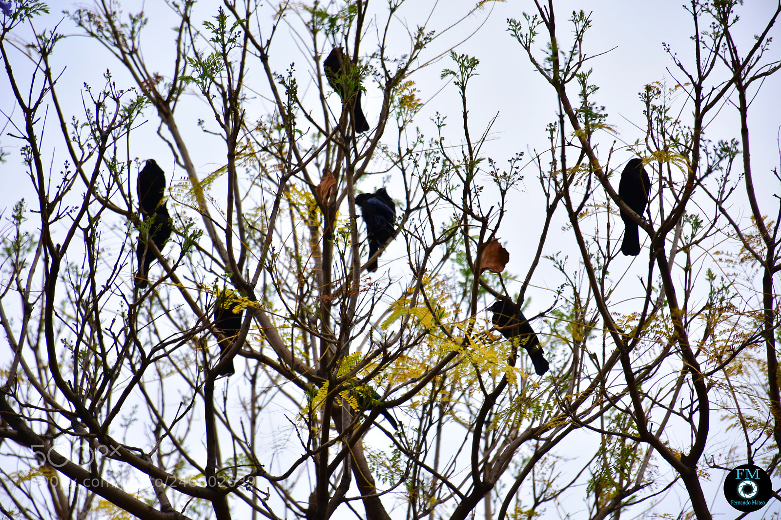 Nikon D7200 sample photo. Untitled photography