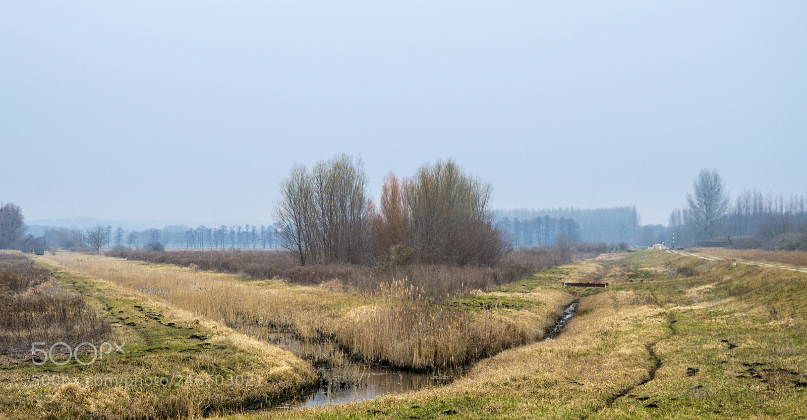 Nikon D3200 sample photo. Heviz photography