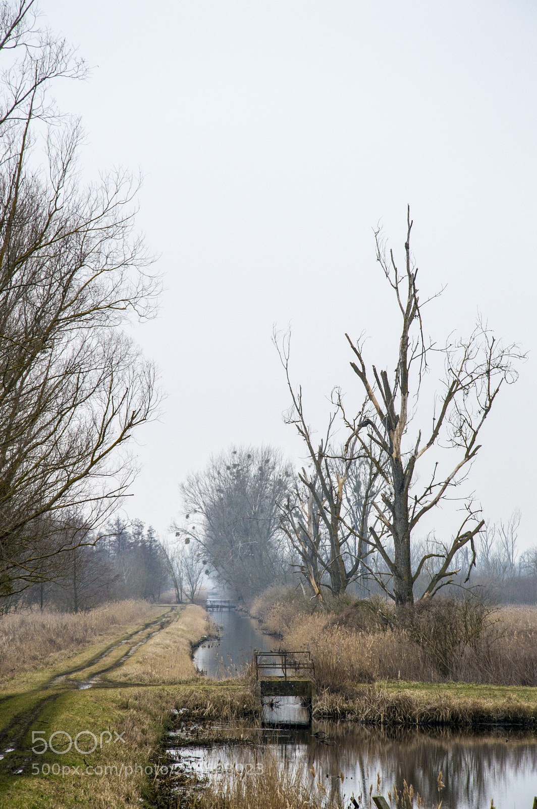 Nikon D3200 sample photo. Heviz photography