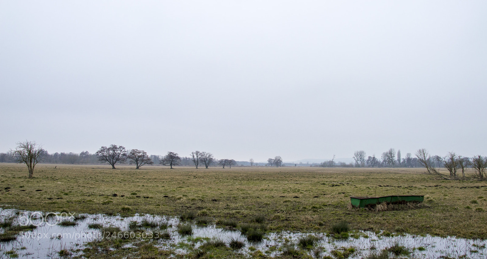 Nikon D3200 sample photo. Heviz photography