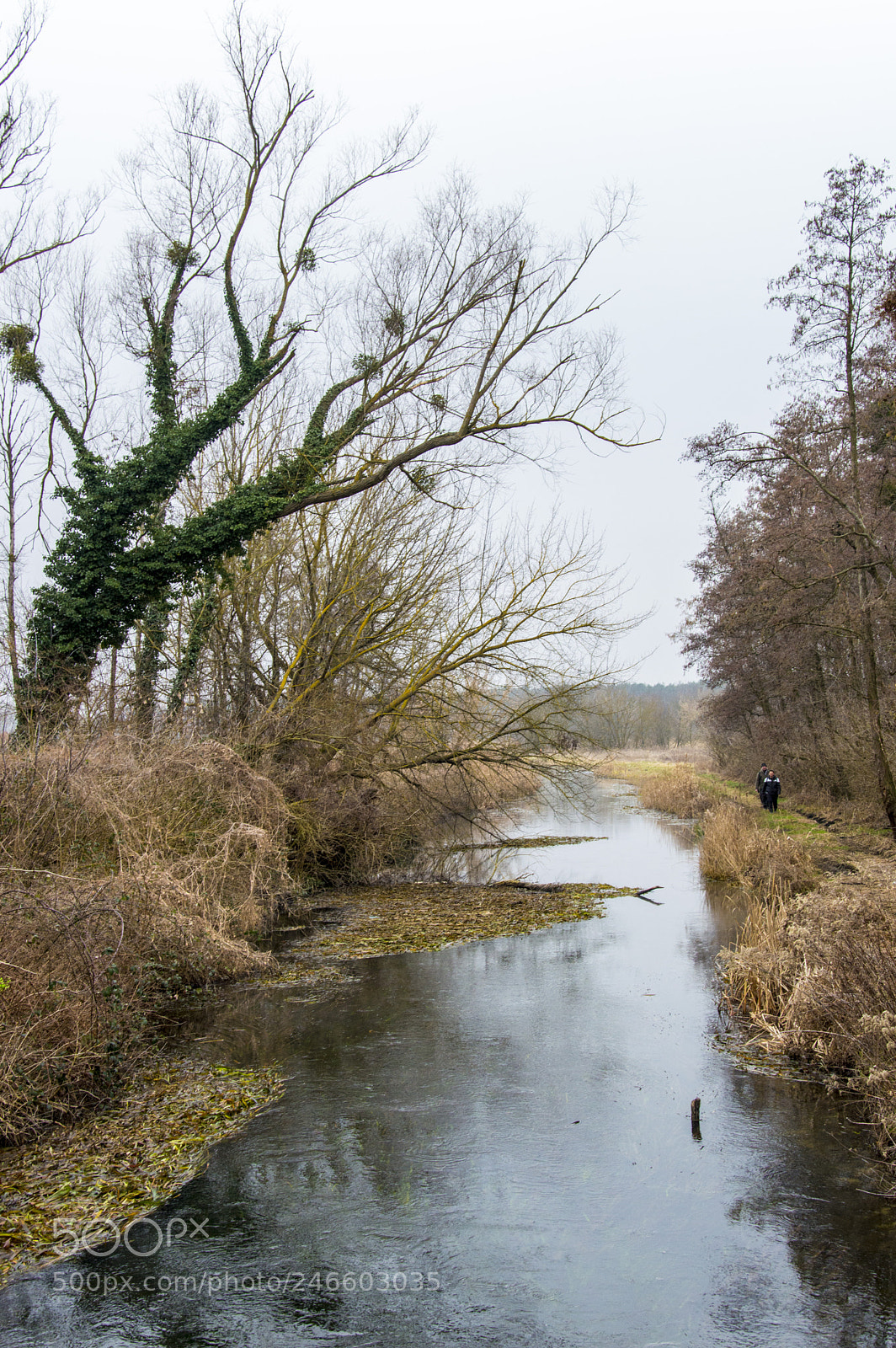 Nikon D3200 sample photo. Heviz photography