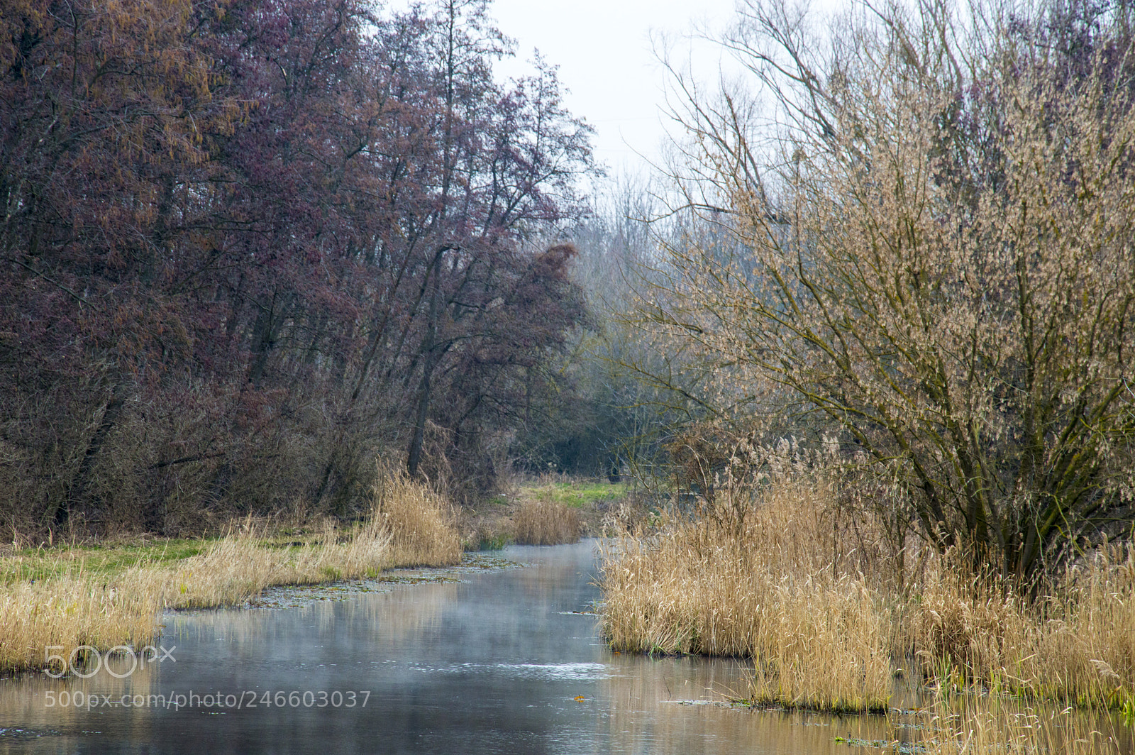 Nikon D3200 sample photo. Heviz photography