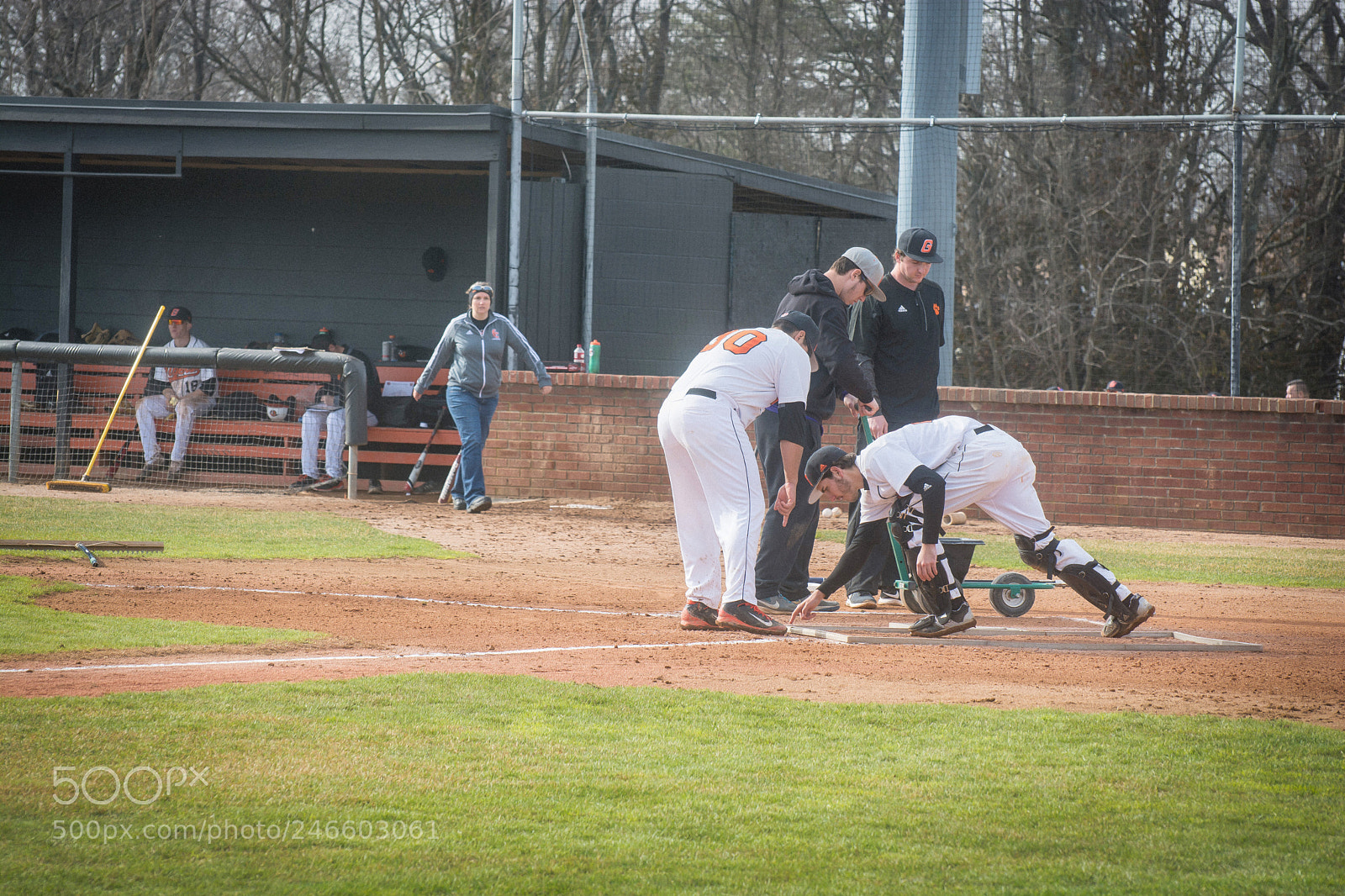 Nikon D7100 sample photo. Baseball details photography