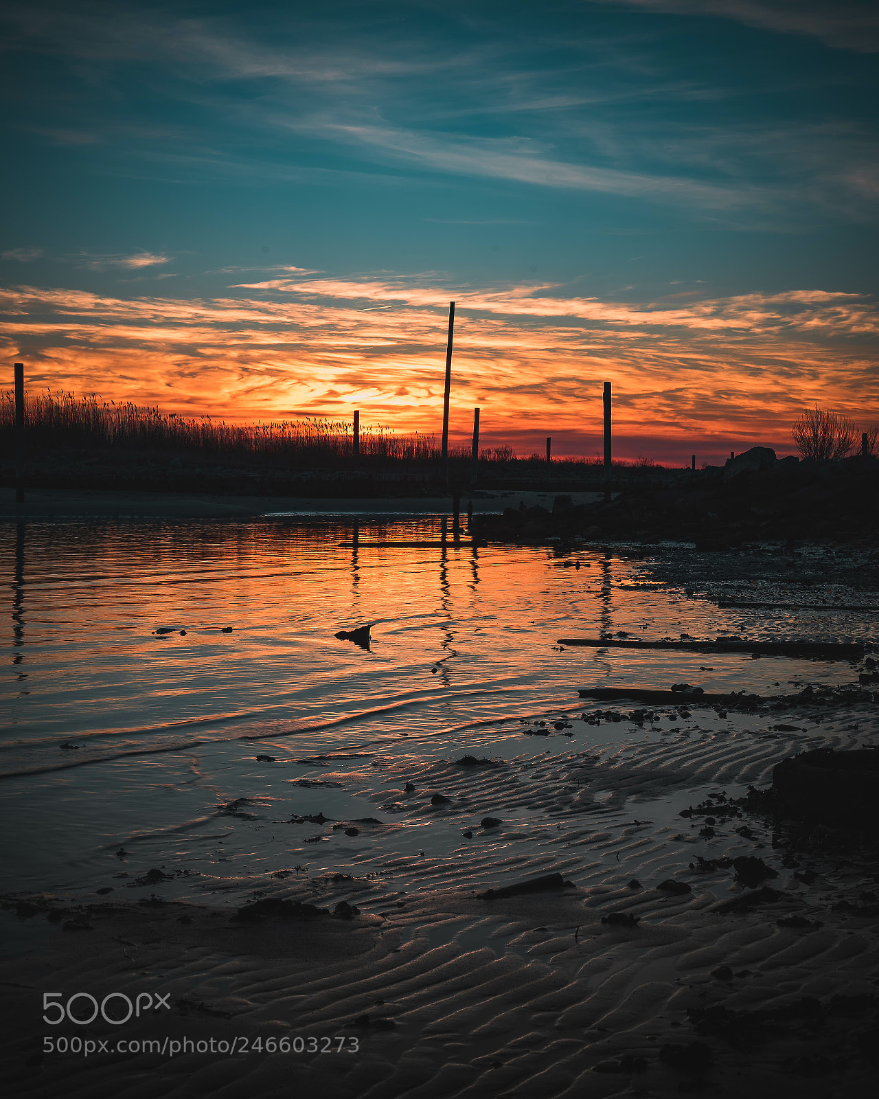 Sony a7 II sample photo. Sun blow orange. photography