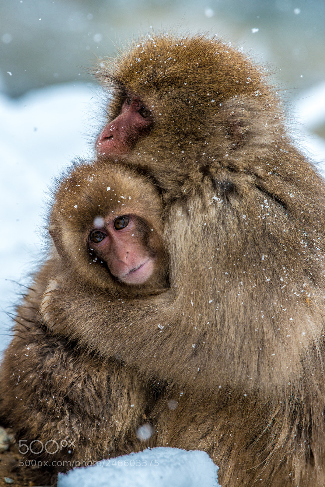 Nikon D800 sample photo. Love photography