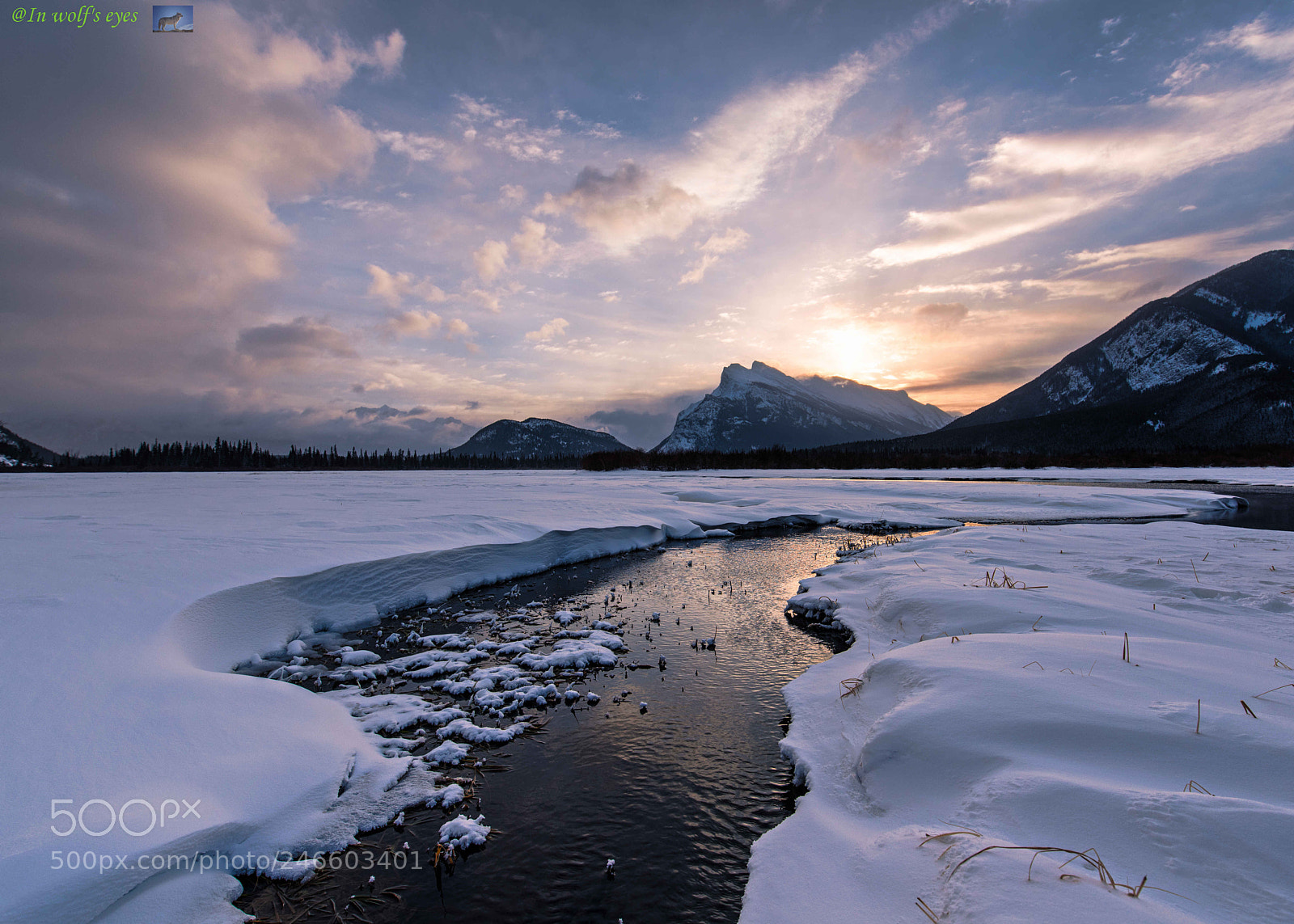 Nikon D810 sample photo. Flowing away, canada photography