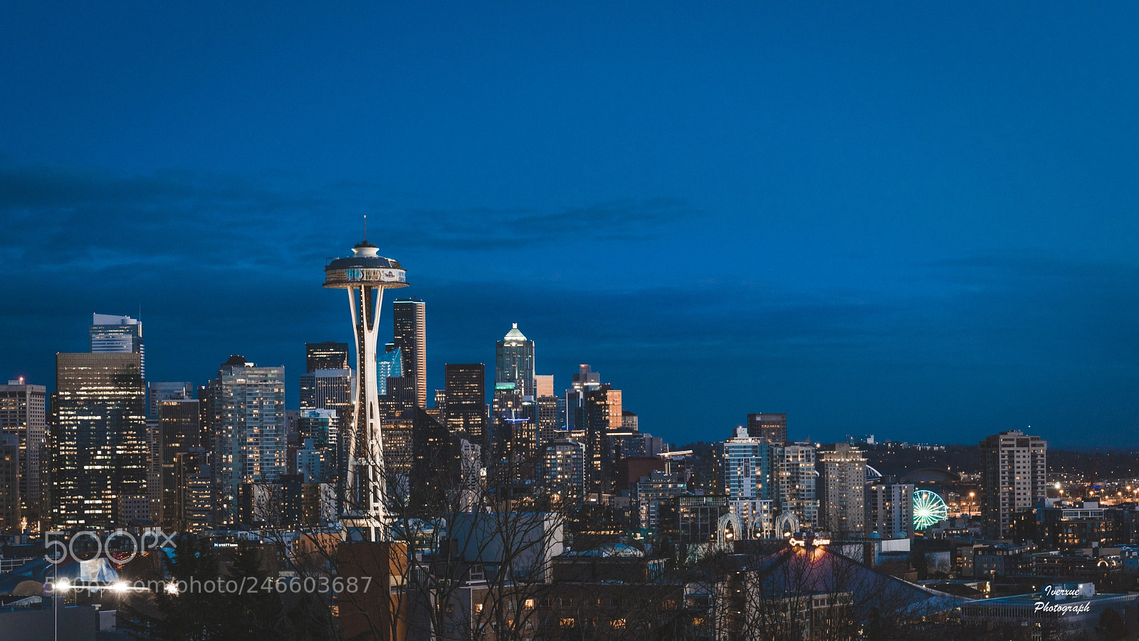 Sony a7R II sample photo. Untitled photography