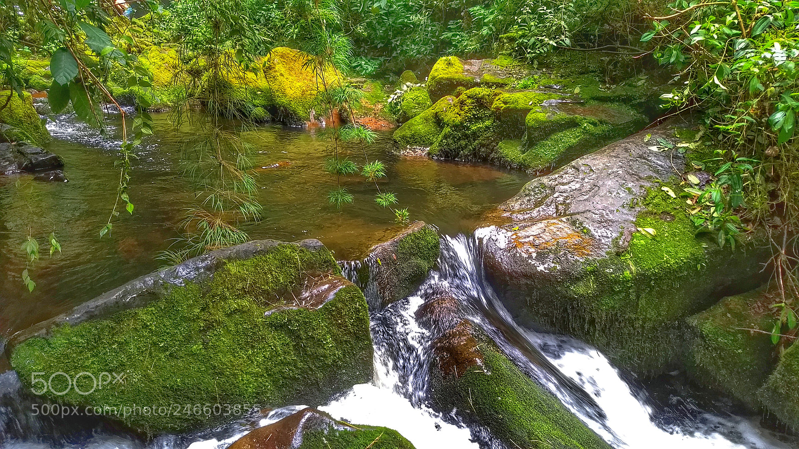 Motorola Moto G (5) Plus sample photo. Susurros del agua photography