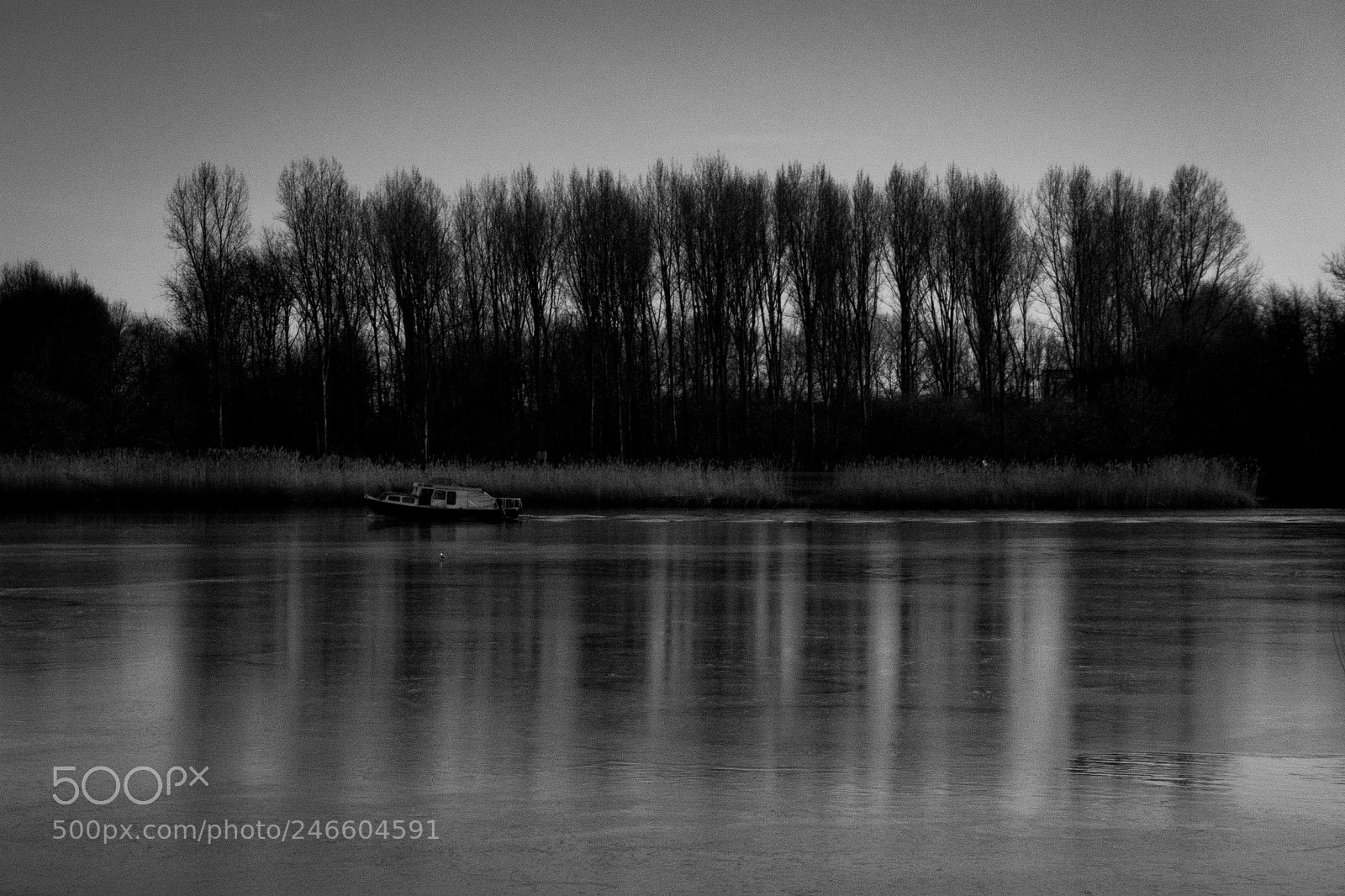 Sony Cyber-shot DSC-RX100 III sample photo. Boat and trees photography