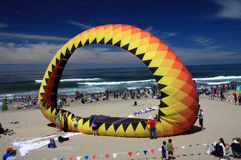 Canon EOS 50D sample photo. Kite festival photography