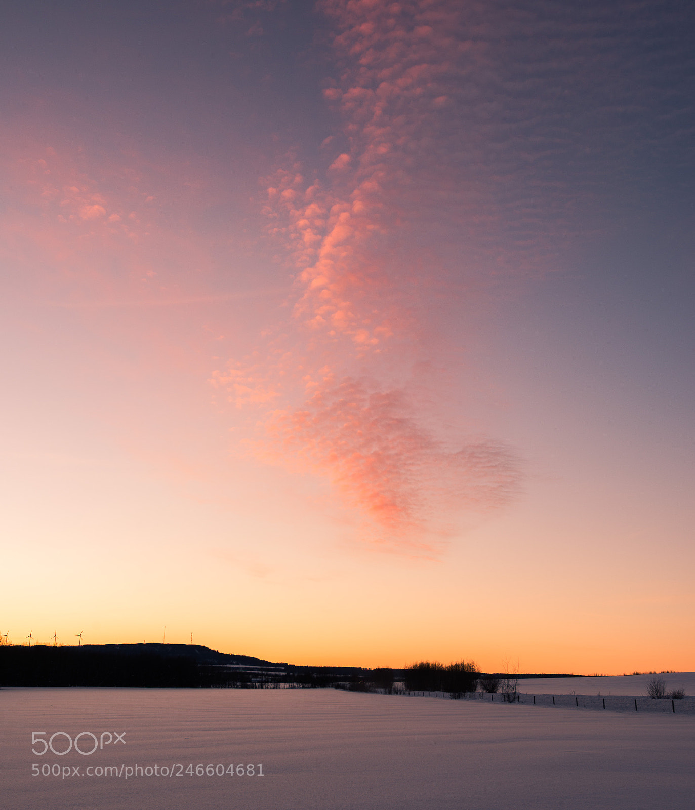 Nikon D610 sample photo. February sunset with single photography