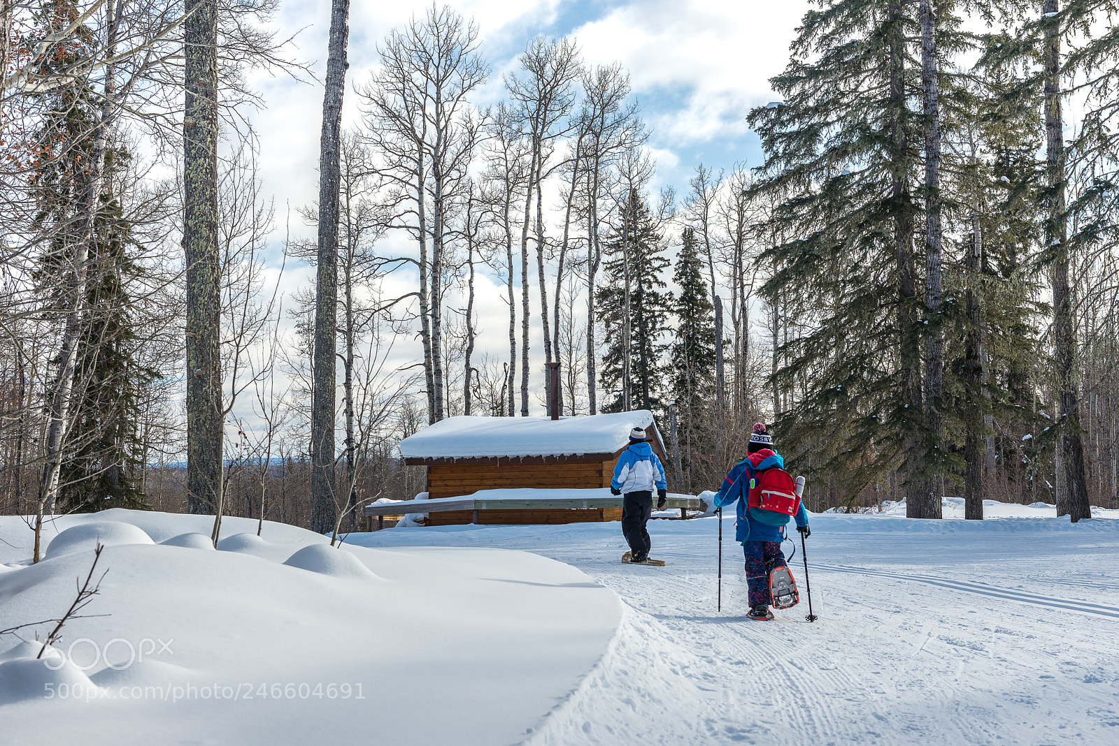 Nikon D610 sample photo. Winter activity photography
