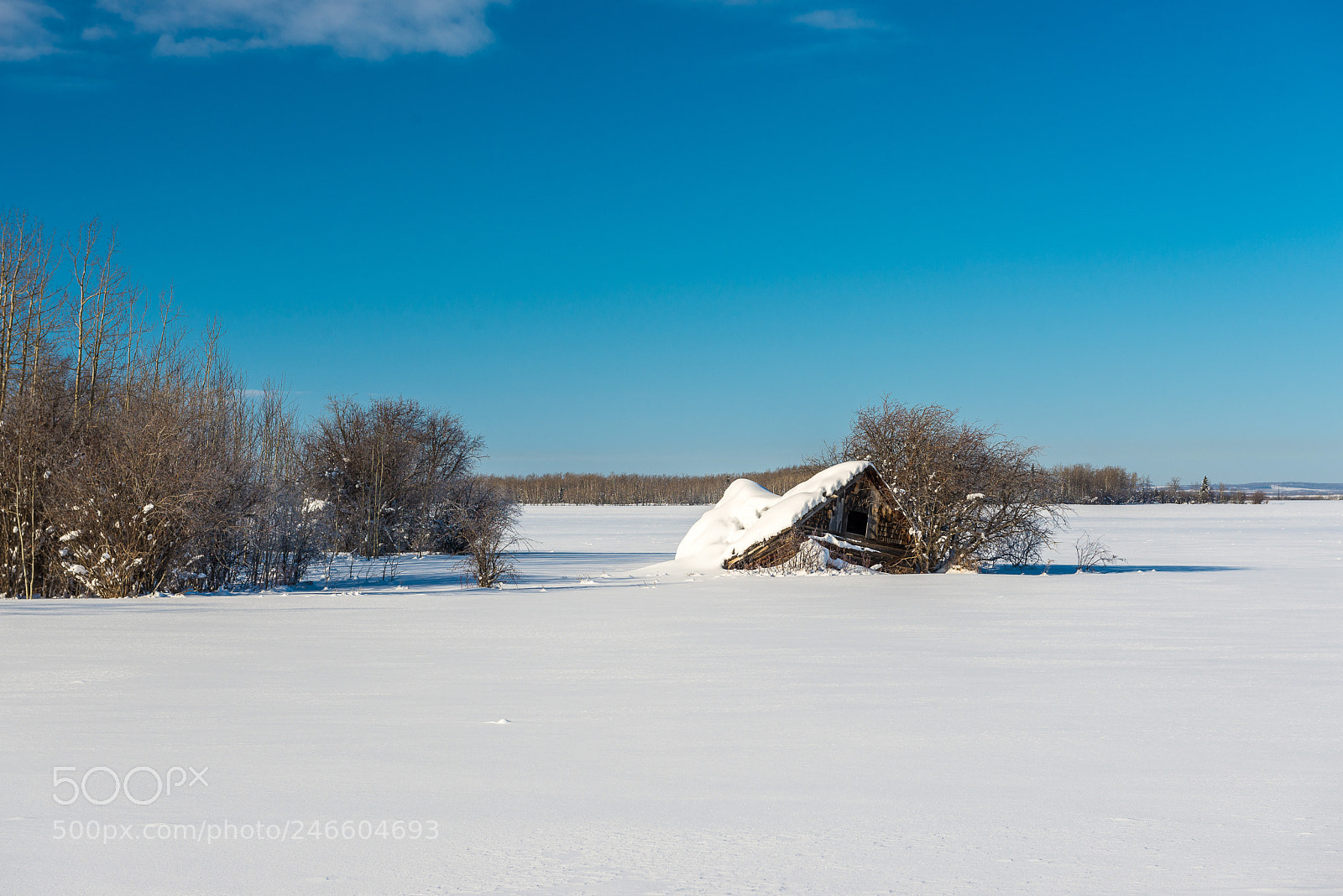 Nikon D610 sample photo. Falling down photography