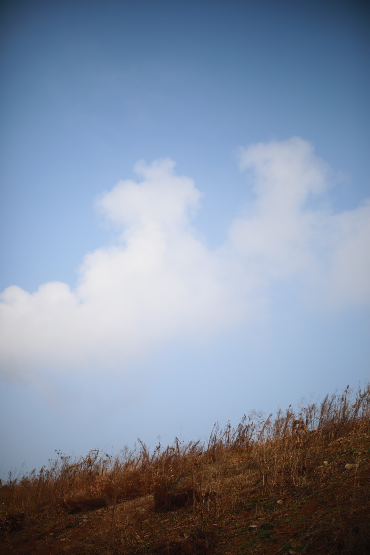 Canon EF 35-80mm f/4-5.6 sample photo. 今日雨水 photography