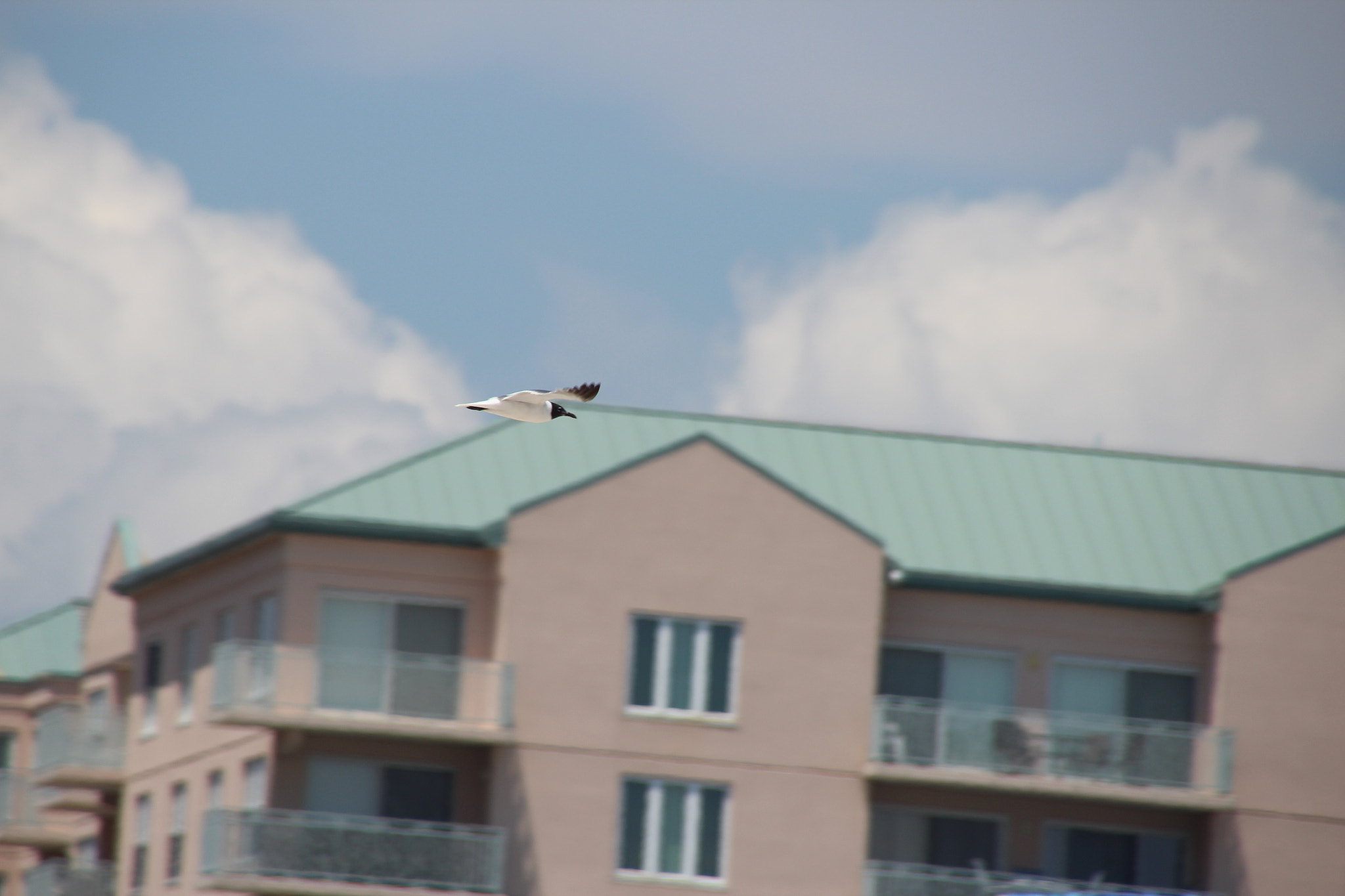 Canon EOS 600D (Rebel EOS T3i / EOS Kiss X5) sample photo. Soaring through space photography