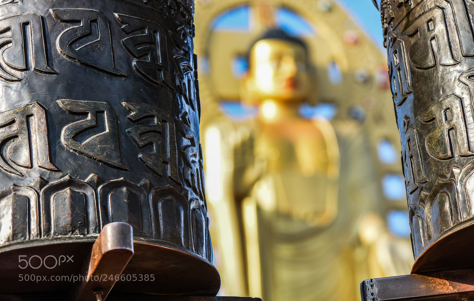 Nikon D750 sample photo. Buddha through the prayer photography