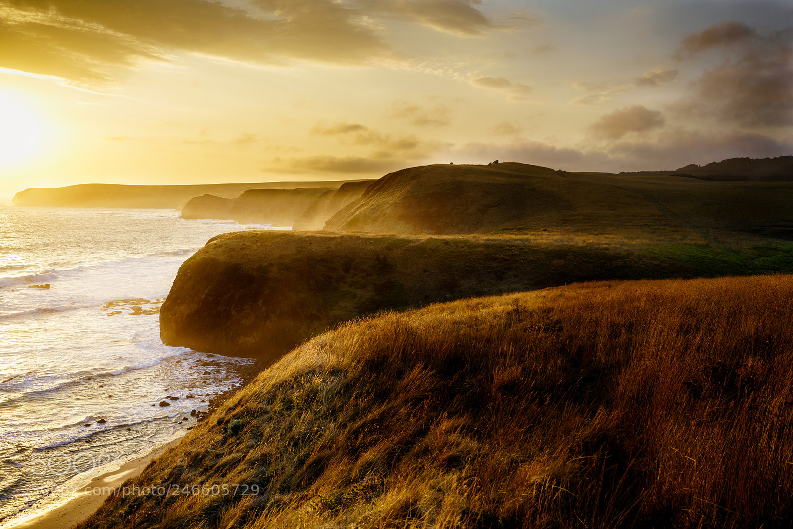 Sony a7R II sample photo. Golden hour photography