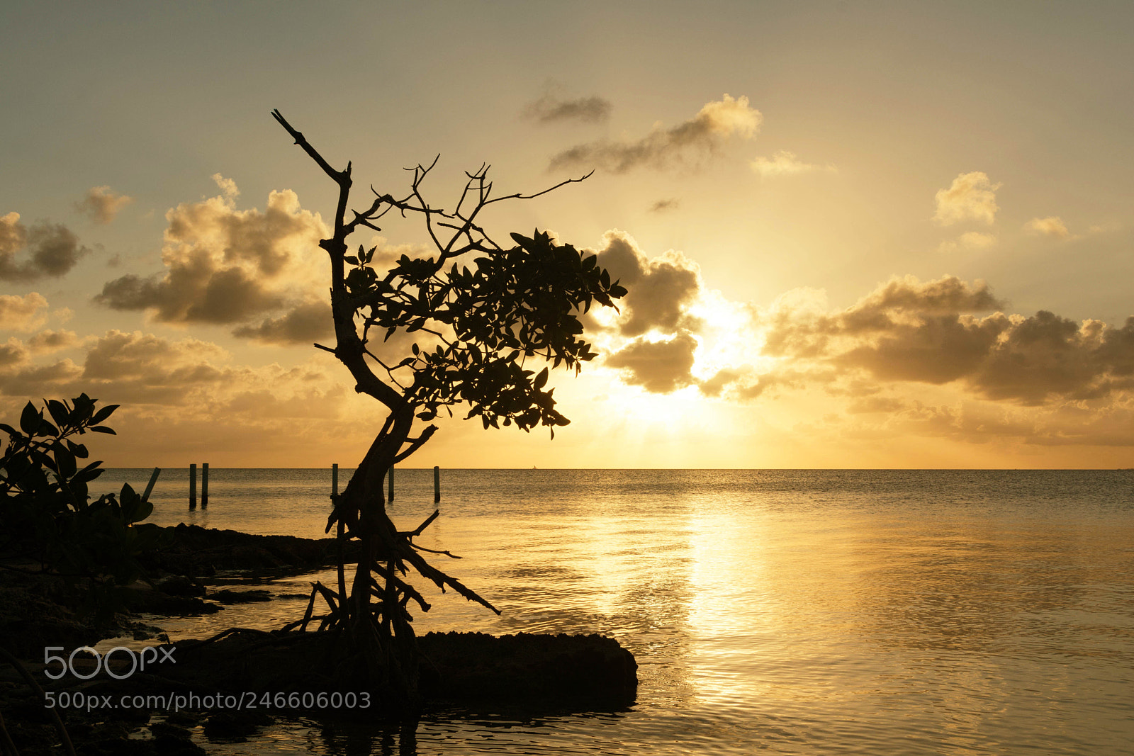 Nikon D7100 sample photo. Caribbean sunset 2 photography