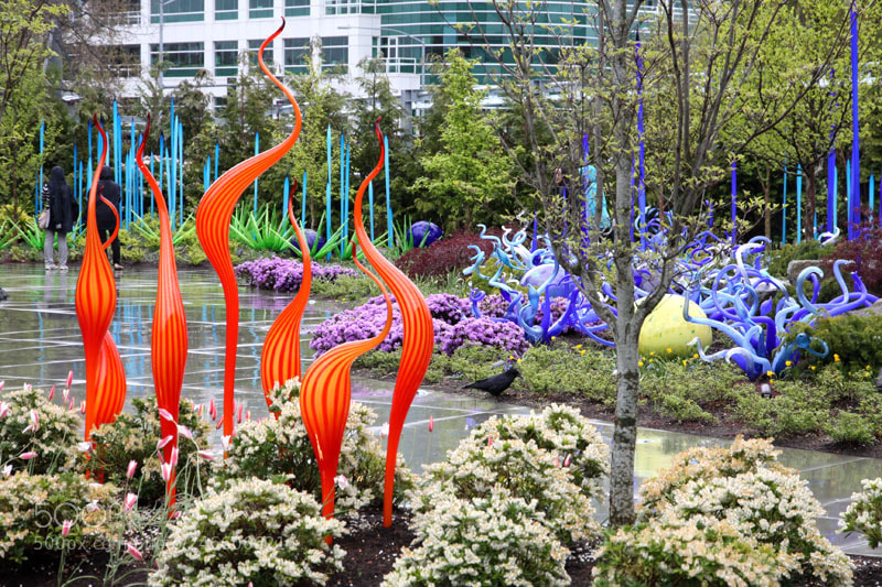 Canon EOS 50D sample photo. Chihuly photography