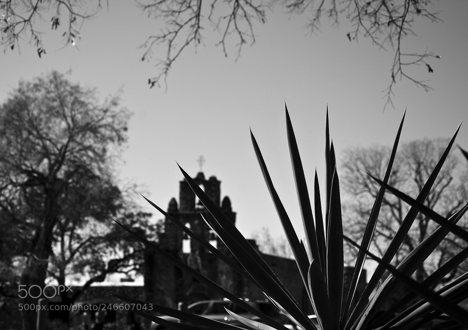 Nikon D7100 sample photo. Old school photography
