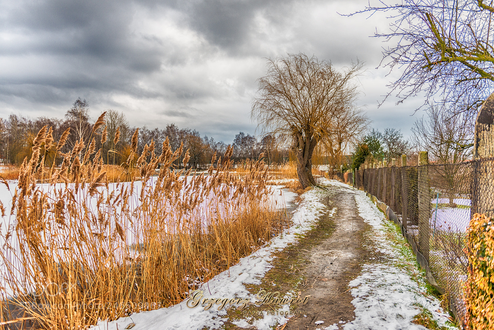 Nikon D800 sample photo. Ku wierzbie. szachta zim photography