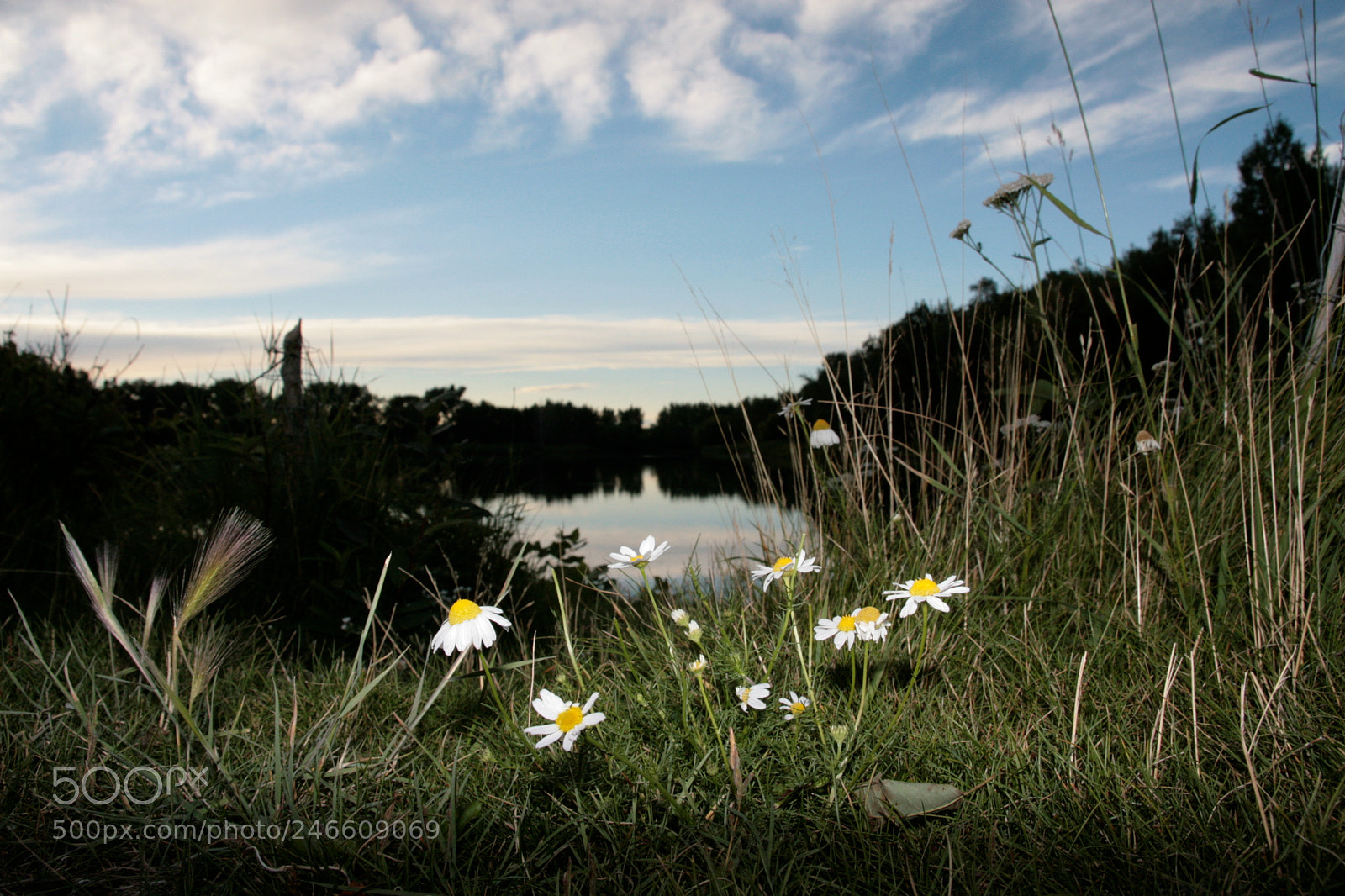 Canon EOS 30D sample photo. Untitled photography