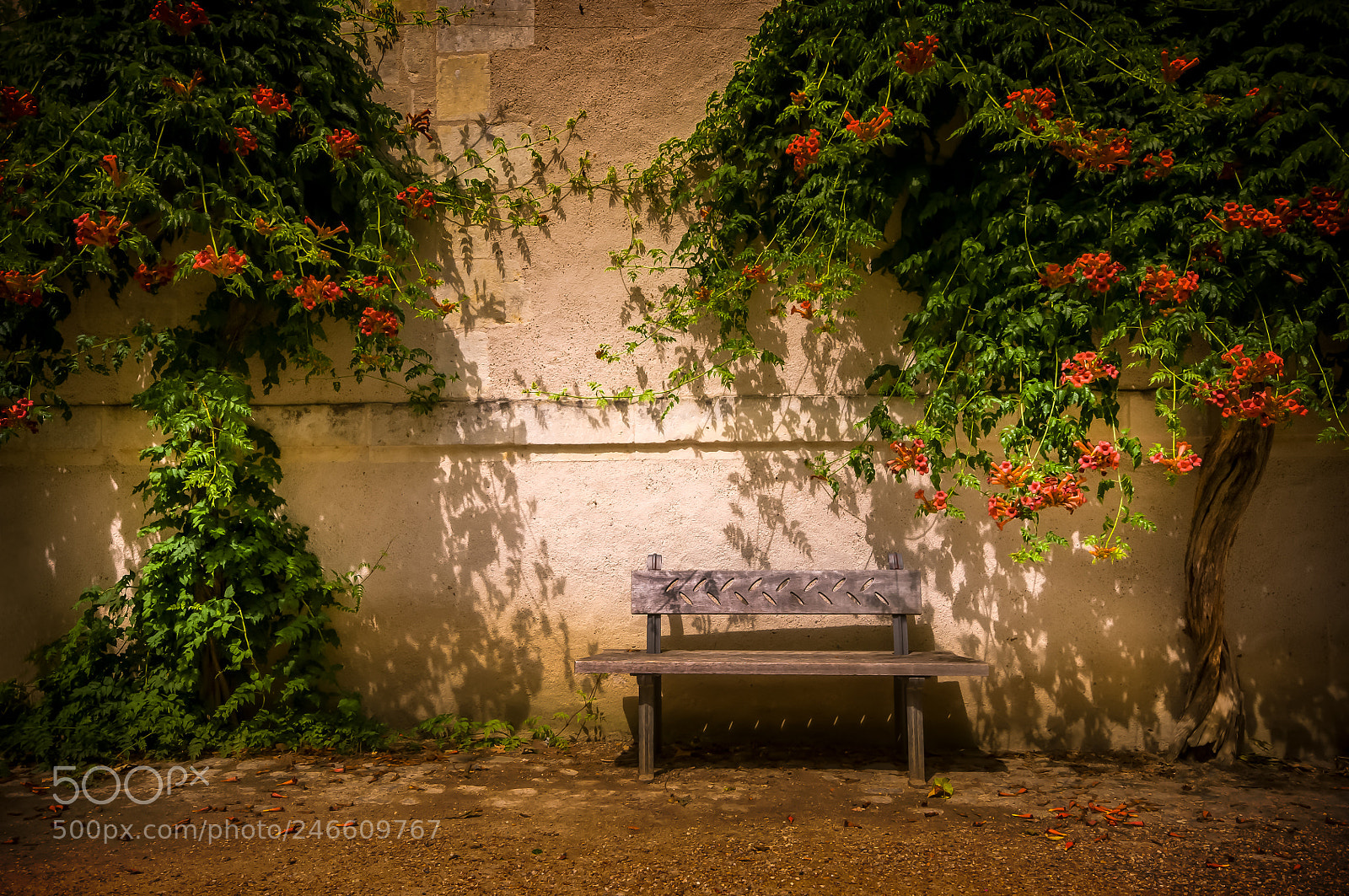 Nikon D300 sample photo. The trysting bench photography