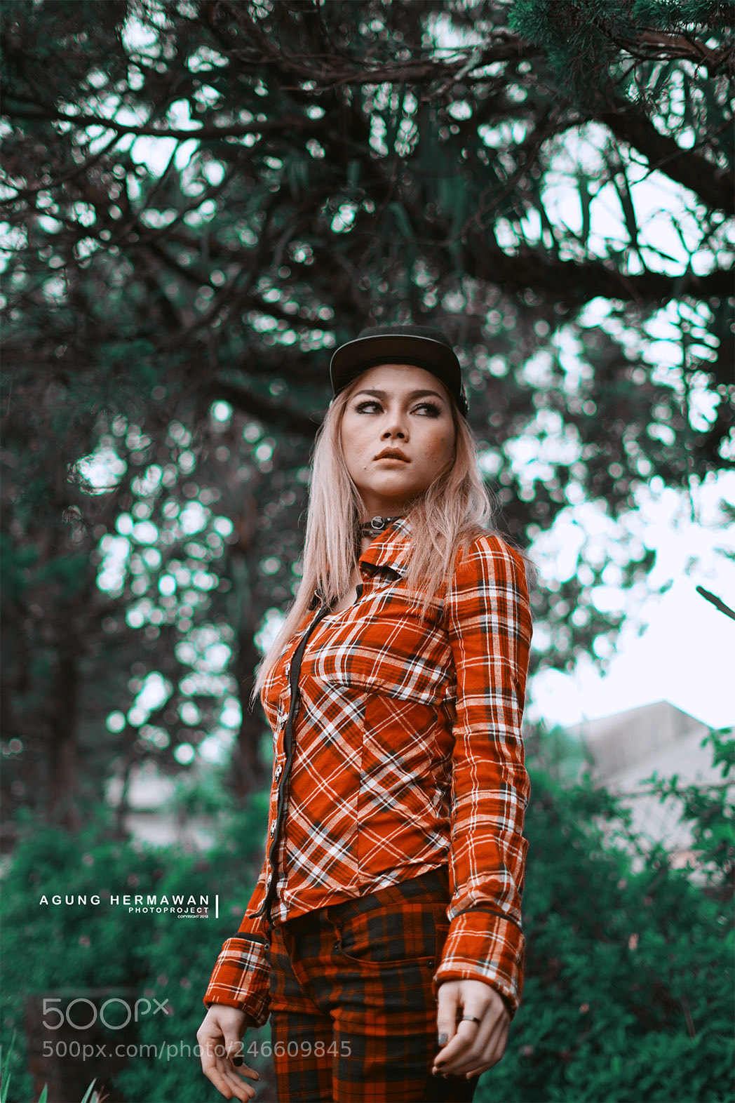 Sony a7 II sample photo. Untitled photography