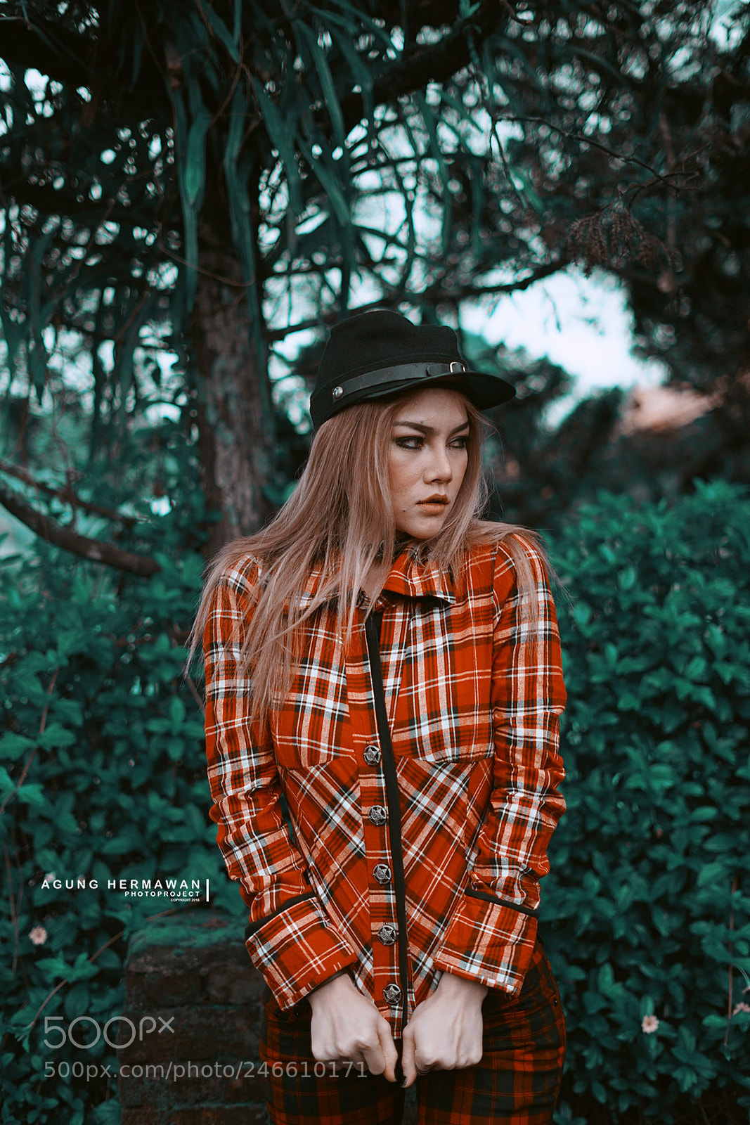 Sony a7 II sample photo. Untitled photography