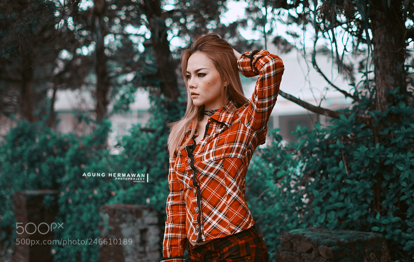 Sony a7 II sample photo. Untitled photography