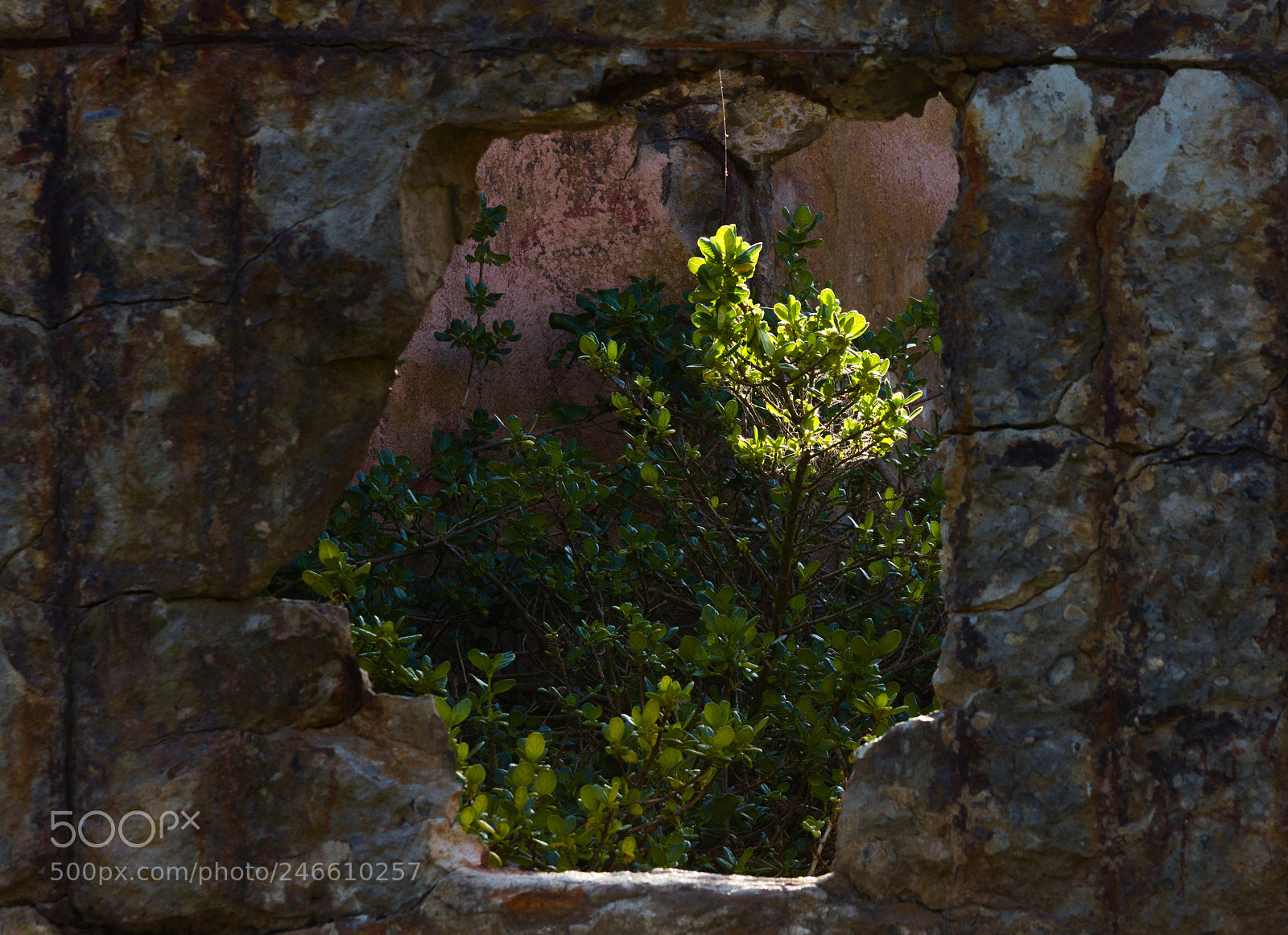Canon EOS 7D sample photo. Forgotten photography