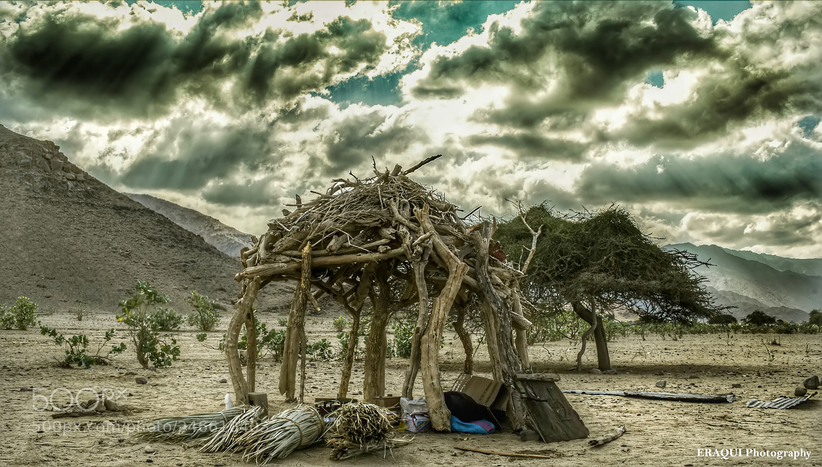 Nikon D610 sample photo. Life photography