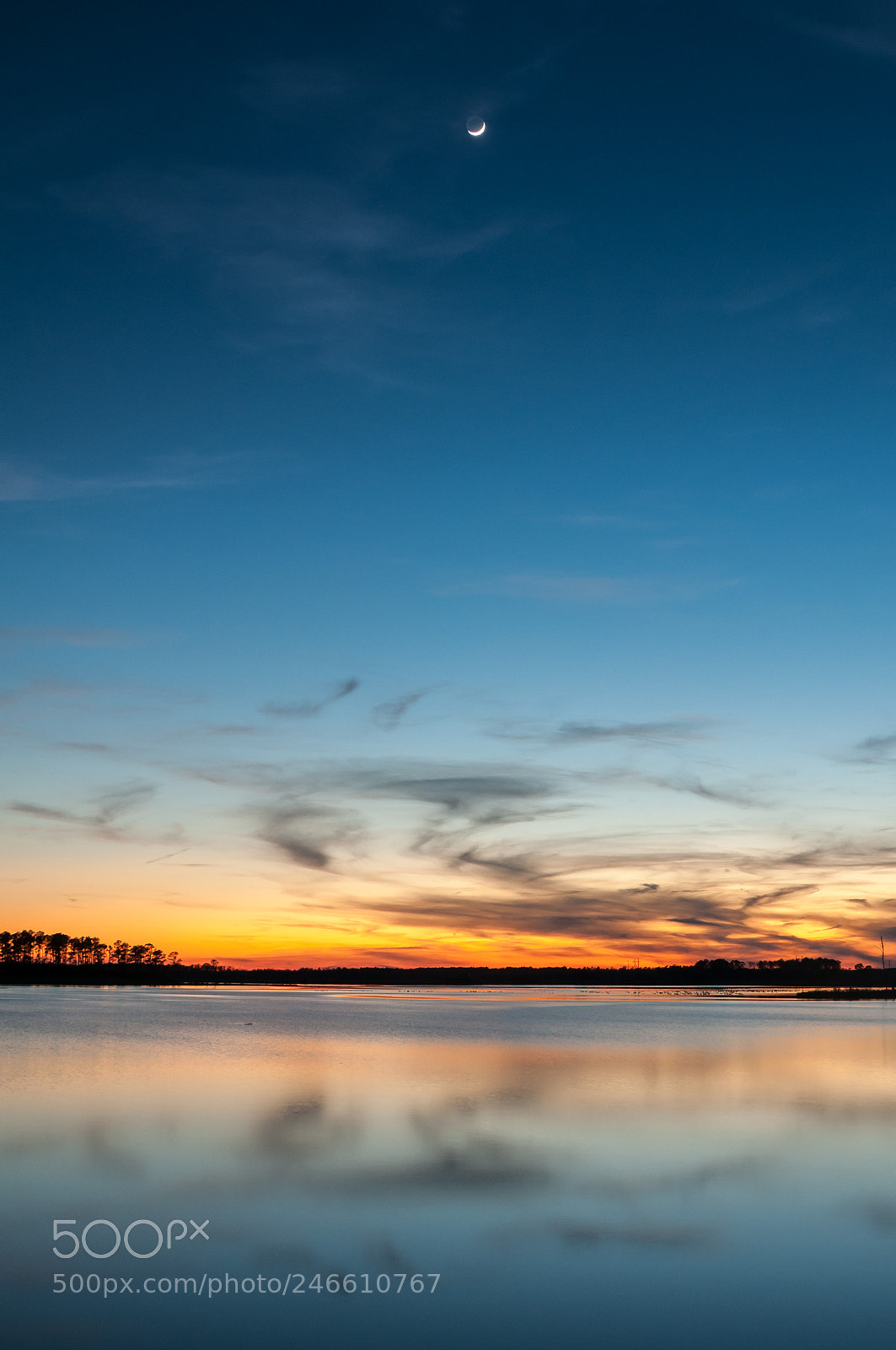 Nikon D300 sample photo. Sunset blackwater nwr photography