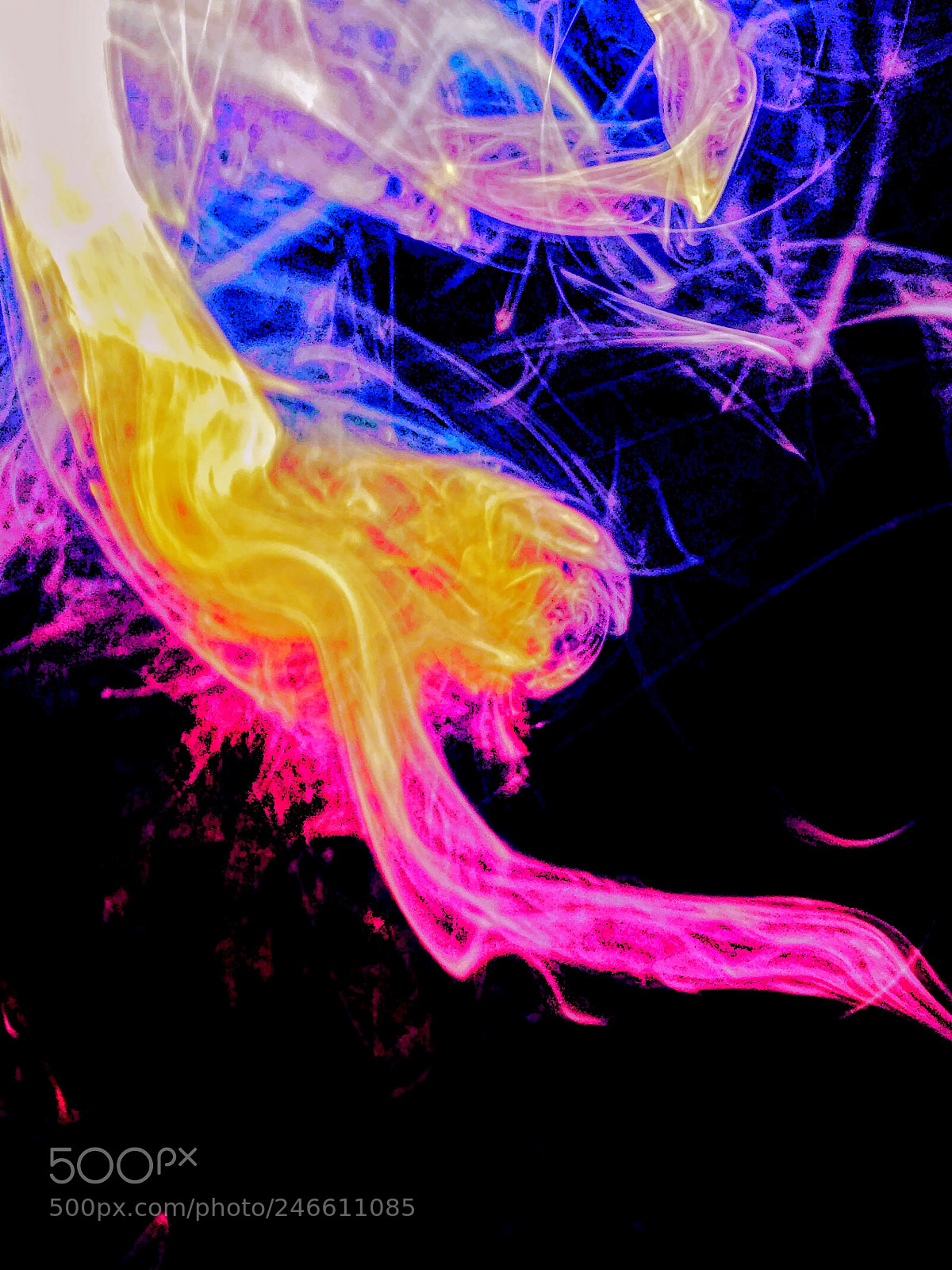 Apple iPhone 6 sample photo. Technicolor mermaid photography