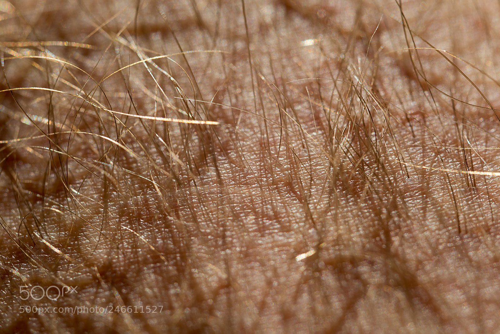 Nikon D800 sample photo. Human skin texture photography