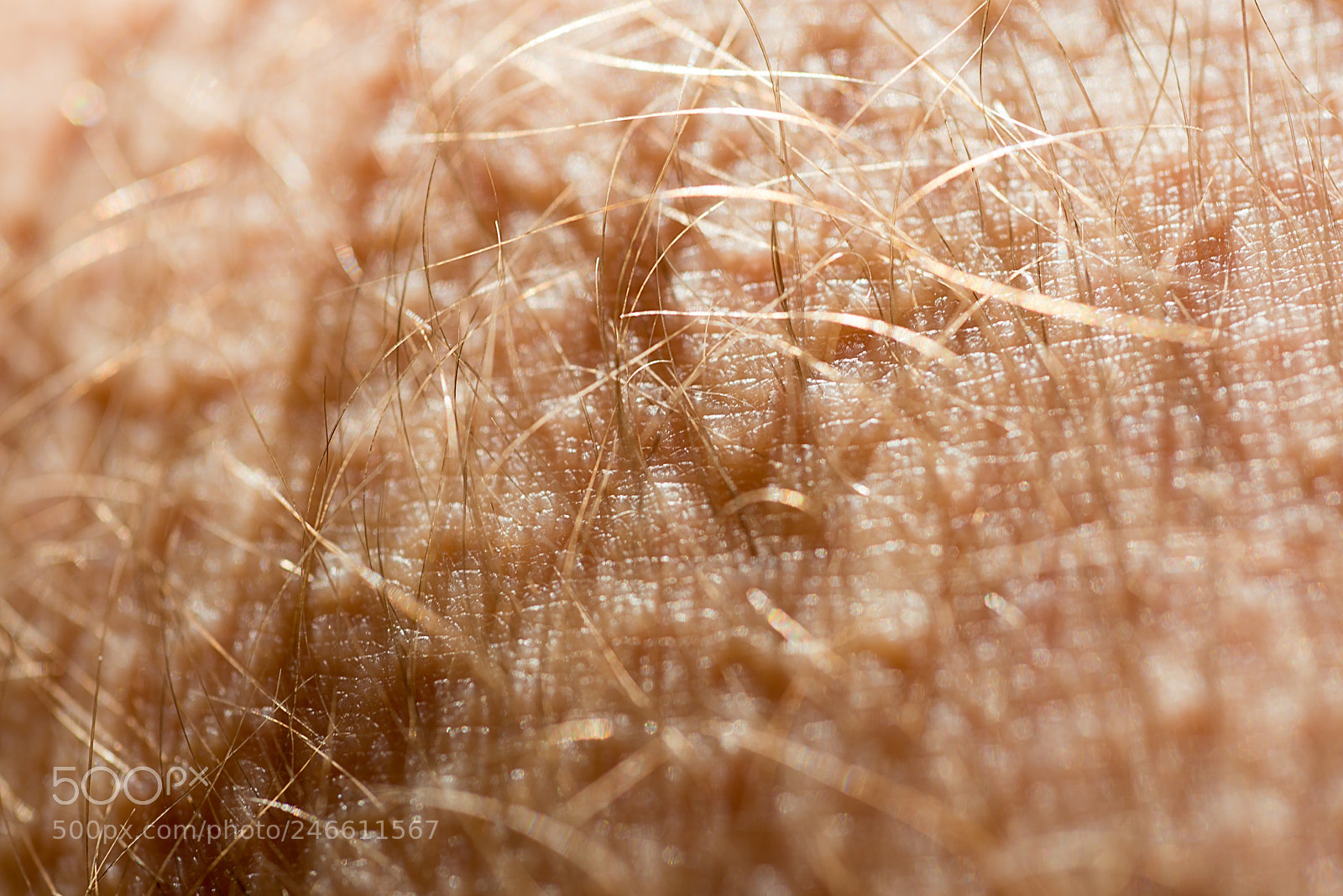 Nikon D800 sample photo. Human skin texture photography