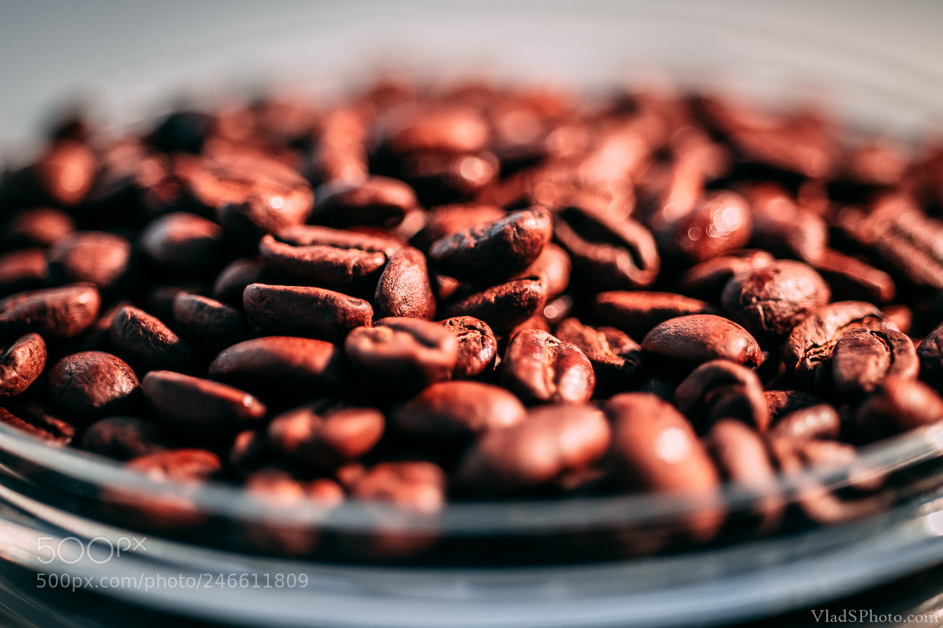 Nikon D850 sample photo. 48/365 photography