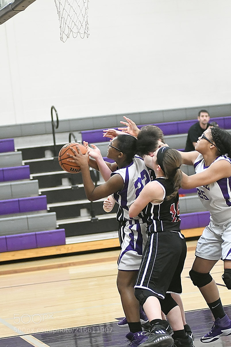 Nikon D500 sample photo. 2-14_0093.jpg photography