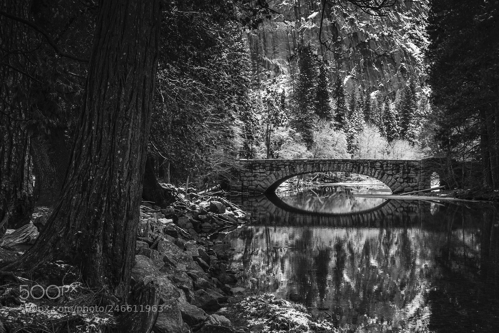 Sony a7R III sample photo. Yosemite valley - river photography