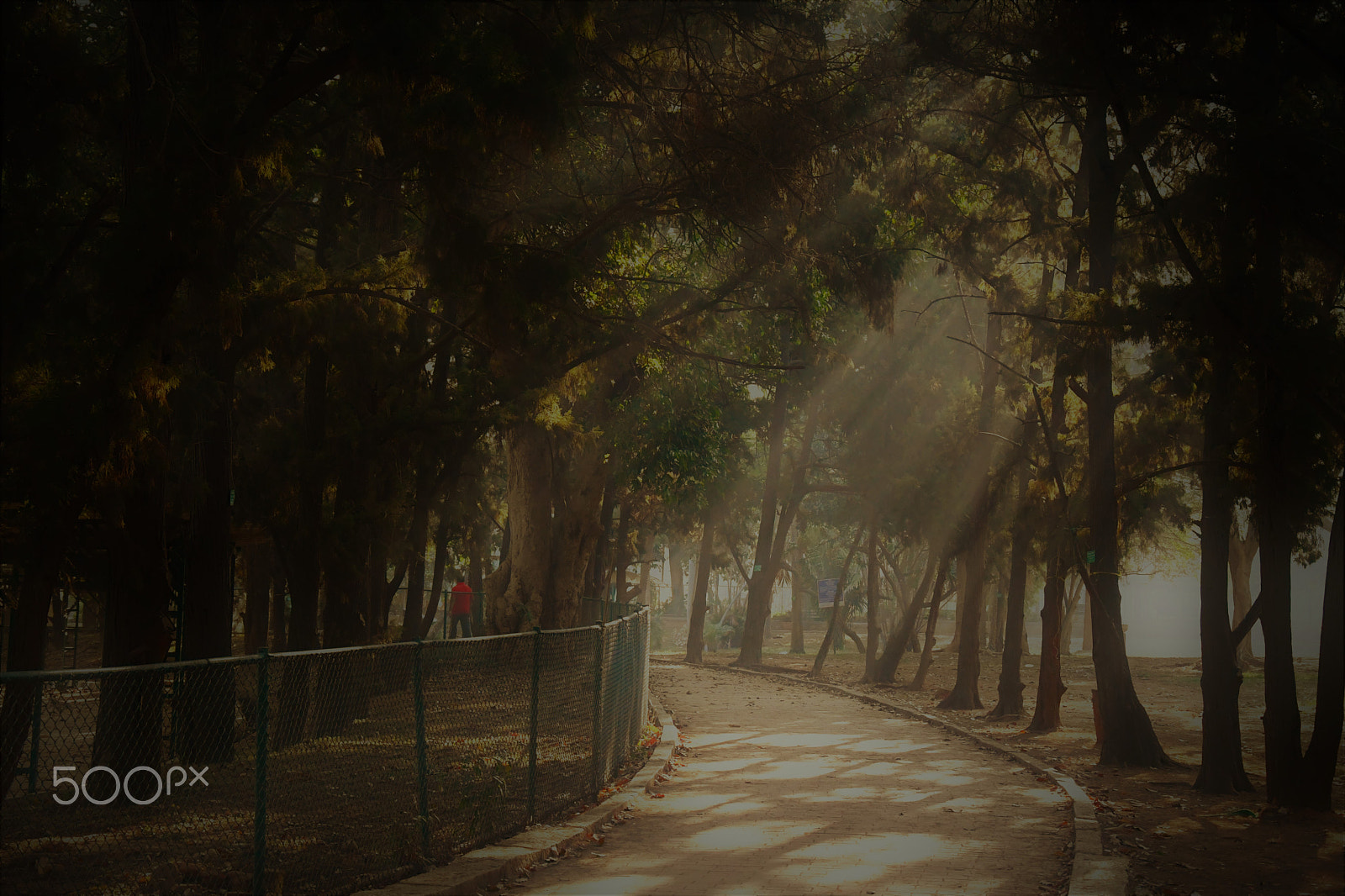 Nikon D7500 sample photo. Road ahead photography