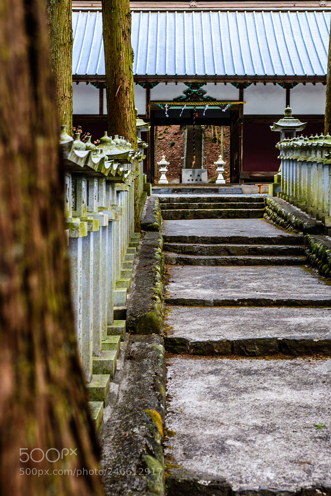 Nikon D5600 sample photo. Shrine dedicated to mt photography