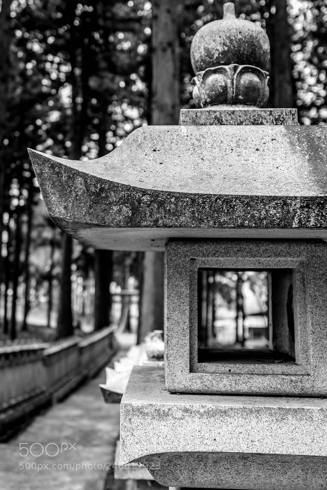 Nikon D5600 sample photo. Shrine dedicated to mt photography